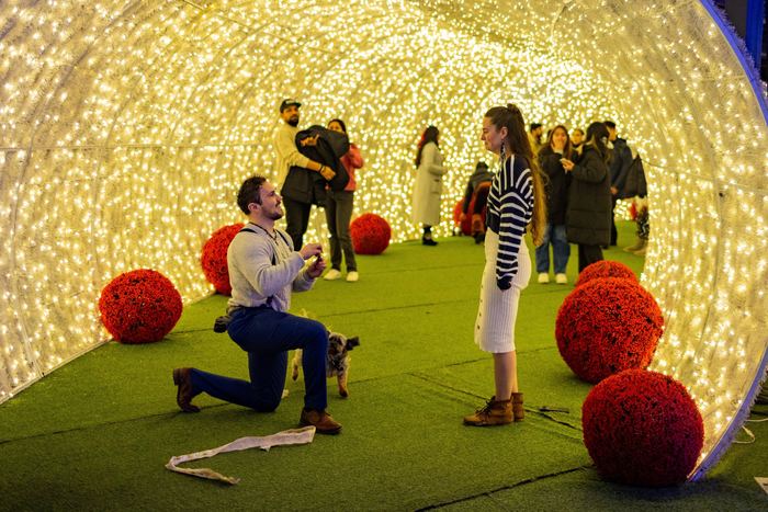 Bran down on one knee in a glowing tunnel of lights while Ava watches, with their dog beside him